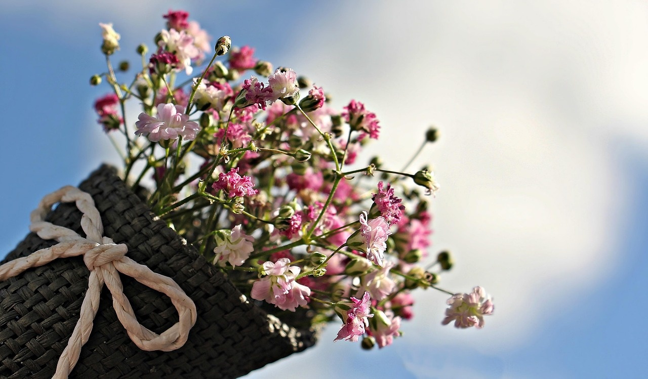 Flores para celebrar