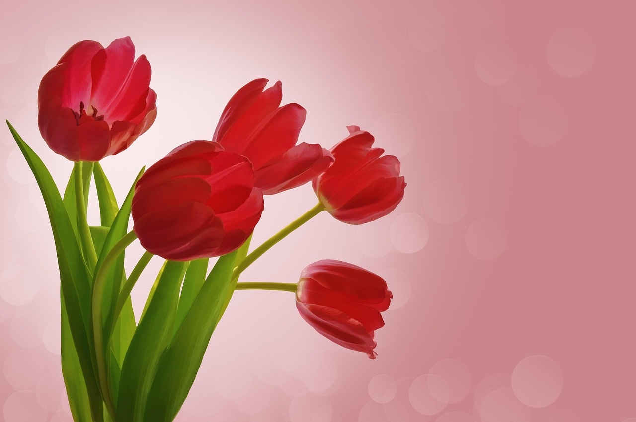 Flores para cumpleaños